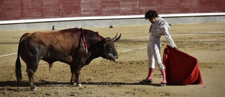 El Gobierno no dejará que ni San Sebastián ni  Ciempozuelos (Madrid) voten sobre si quieren corridas de toros