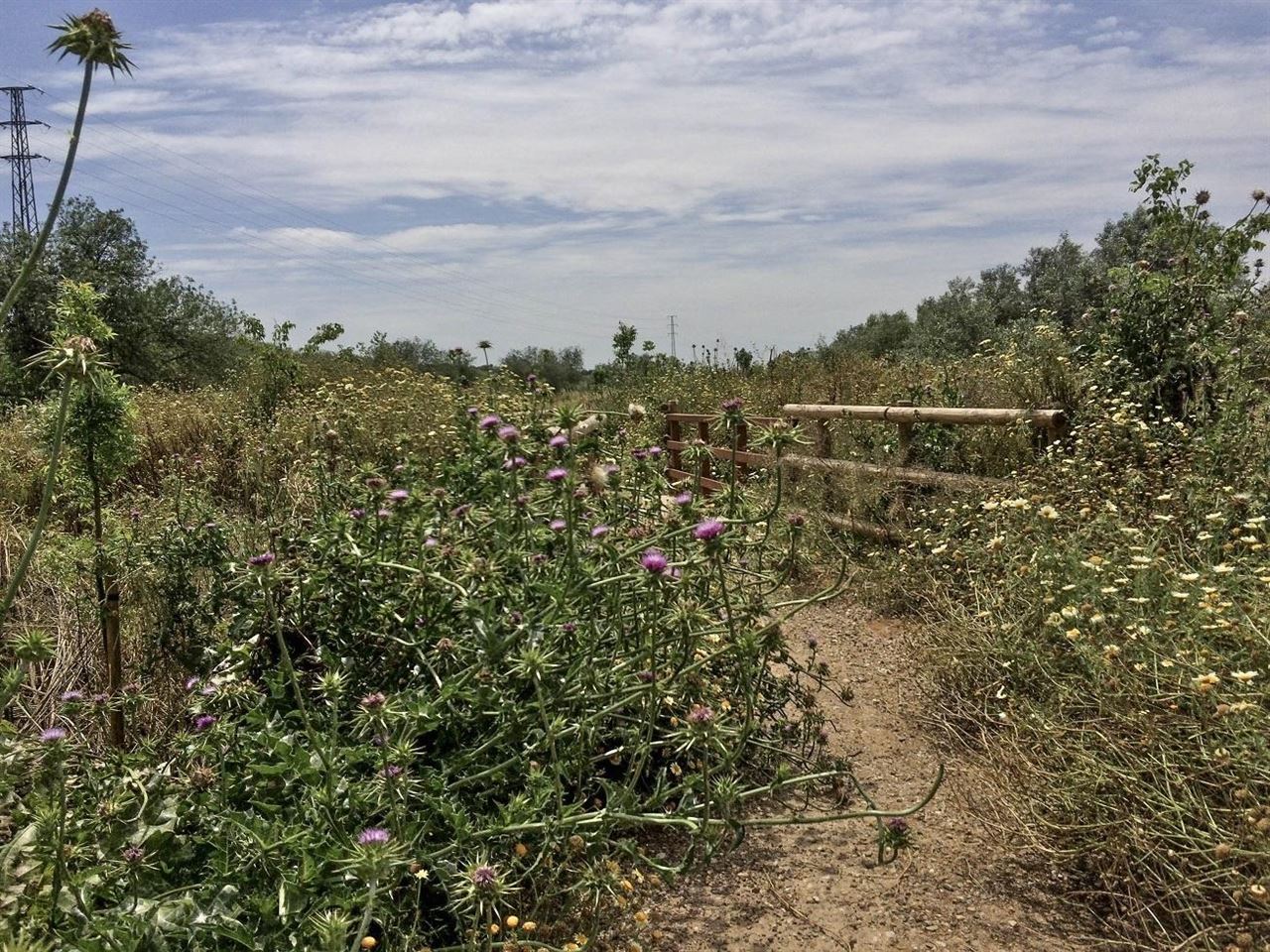 Desidia y abandono del Riopudio