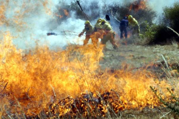 El juicio por el incendio del Ducado de Medinaceli para el dos de julio