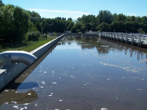 IUSC. Imparte uno de los Master en Gestión