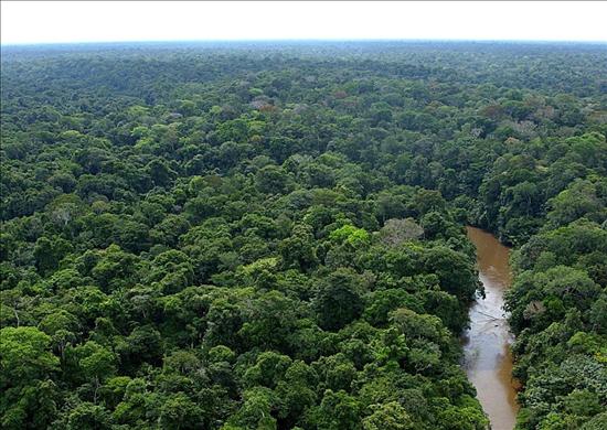 Indígenas protestan en Brasil contra la tercera presa mayor del mundo
