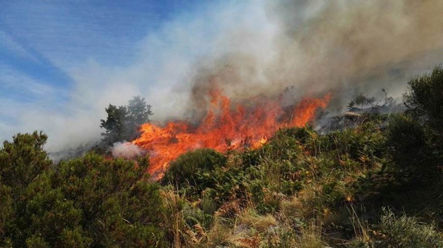 El incendio forestal de Jerte se ‘resiste’
