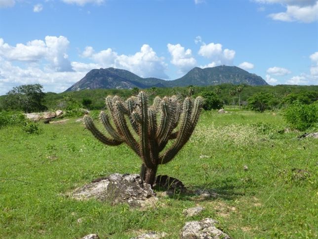 Hace 600 millones de años