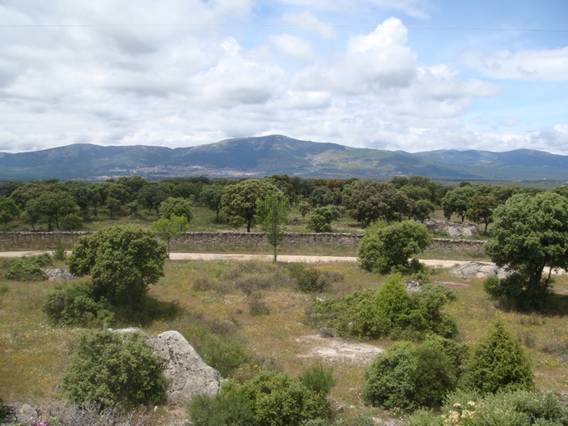 Comunidad de Madrid quiere recalificar un suelo cercano al Parque Regional del Curso Medio de Guadarrama