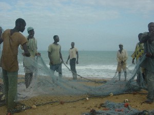 Veterinarios sin Fronteras alertan de que la pesca africana puede agotarse