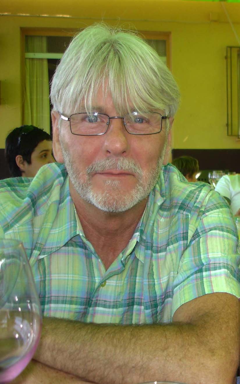 La proyección del ecologismo político. El espacio social Verde