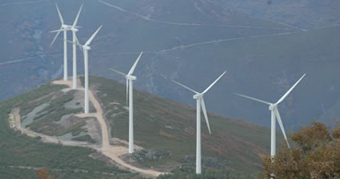 SEO/BirdLife consigue la anulación de la subestación por la que evacuan todos los parques eólicos de Omaña-Cepeda