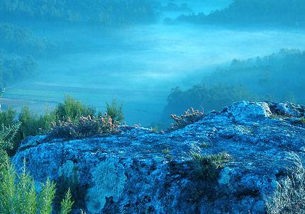 El aula del mar de Sevilla acerca el conocimiento del medio marino a escolares y personas con discapacidad