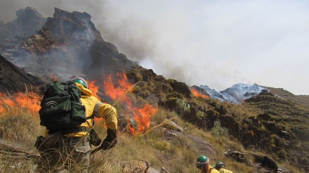 Fuego en San Roque (Cádiz)