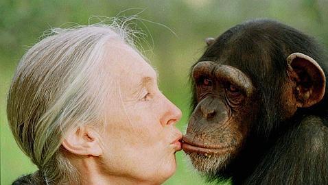 Instituto Jane Goodall quiero acabar con el tráfico de animales salvajes