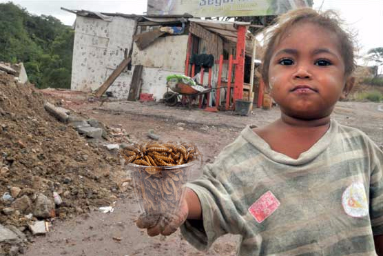 La verdad a través de mis ojos