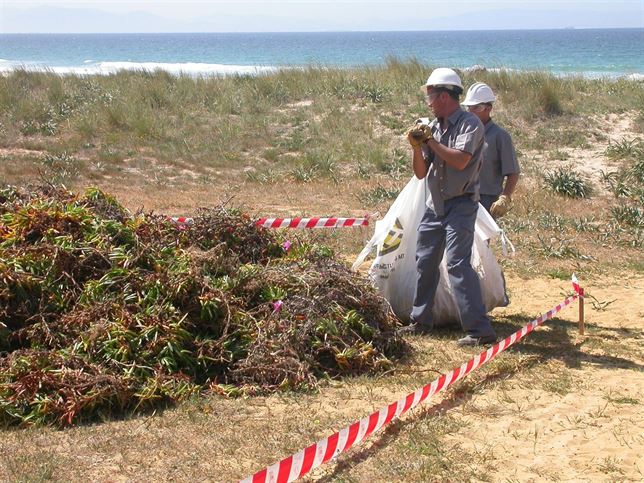Andalucía recupera más de 300.000 hectáreas afectadas por plantas invasoras