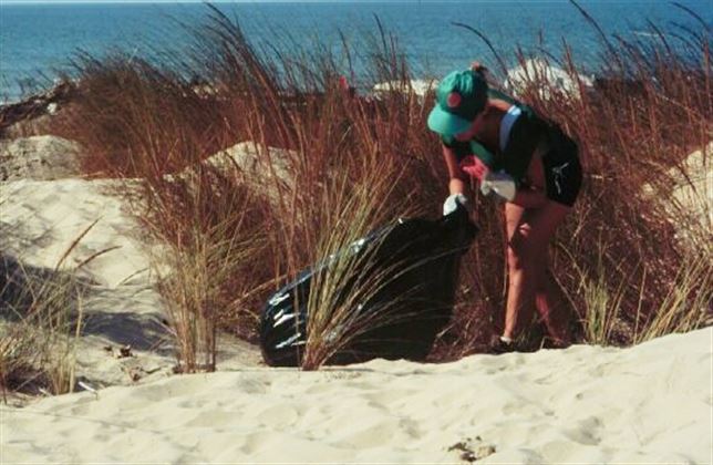 Andalucía organiza actividades para la conservación de ecosistemas marinos en siete enclaves del litoral