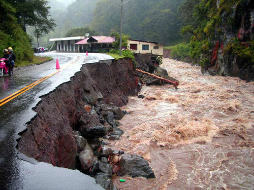 Los bosques tropicales ‘aplacan’ los fenómenos climáticos extremos