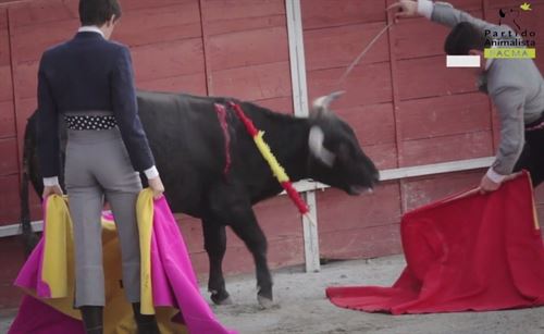 Escuela Marcial Lalanda