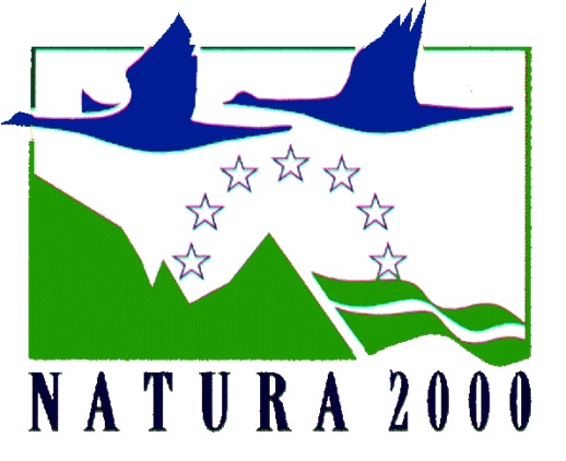 Todo lo que necesitas para conocer