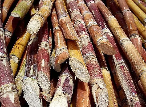 Lanzan una nueva bolsa de plástico realizada de caña de azúcar que evitará la emisión de 78.000 toneladas de CO2