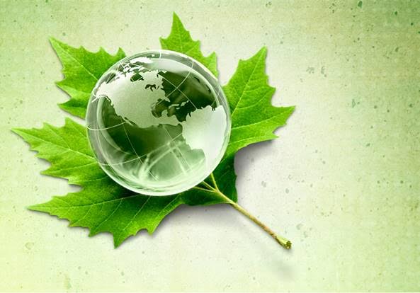 Máster en Gestión Integrada de la Calidad