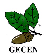 El grupo ecologista Gecen denuncia del fracaso en el control de las construcciones ilegales del Millars (Castellón)