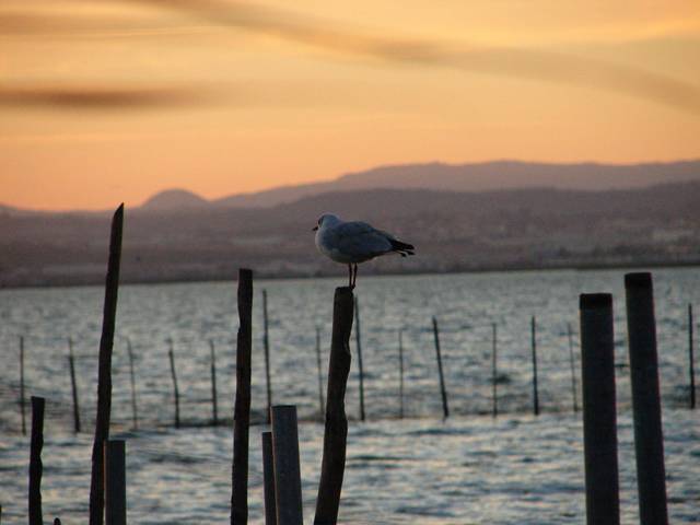 La UE confecciona una guía para la acuicultura sostenible en espacios protegidos por la red Natura2000