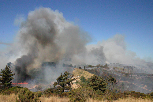 El fuego calcinó en enero 58