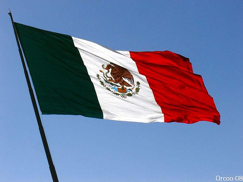 Amaranto al rescate de la nutrición mexicana