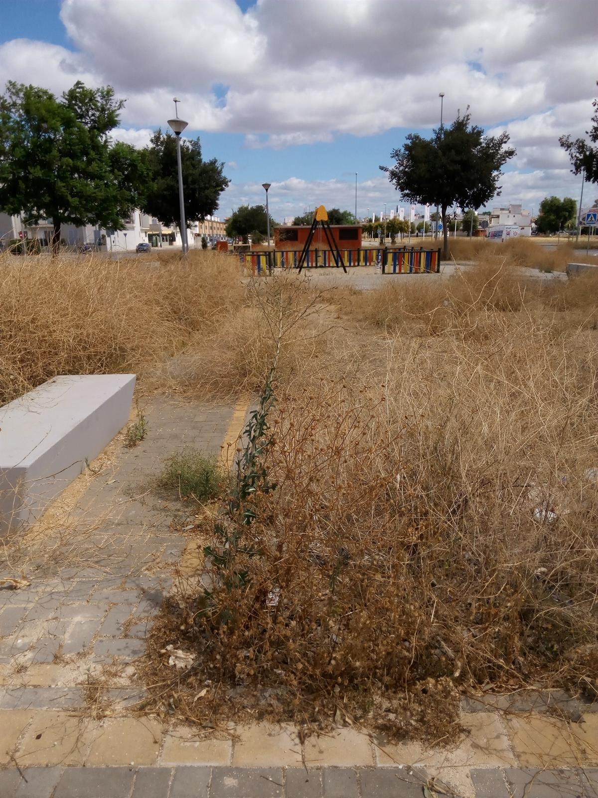 PP urge medidas ante la "crecida de matorrales con riesgo de incendios y aparición de ratas" en Sevilla