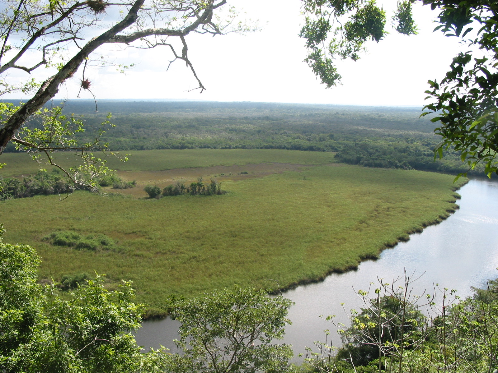 Autoridades de Conap impulsan recuperar bosques