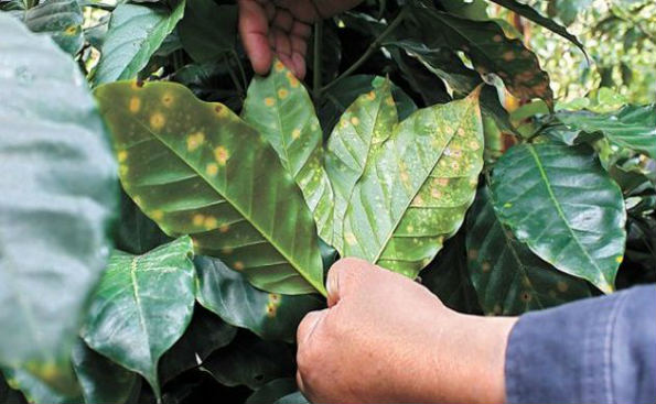 Perú usará millonario préstamo del BID para reducir riesgos y adaptarse a Cambio Climático