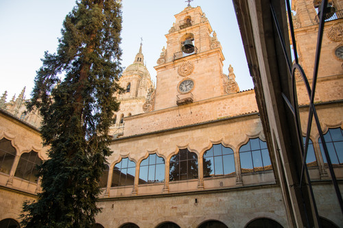 Analizando la emblemática secuoya de la USAL