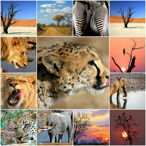 Convenio de Biodiversidad de Japón