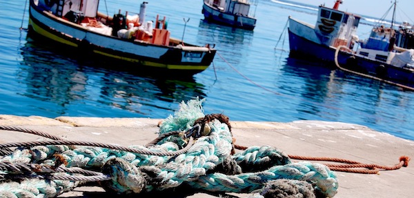 Estudian cómo abordar la pesca sostenible del junquillo en Baleares