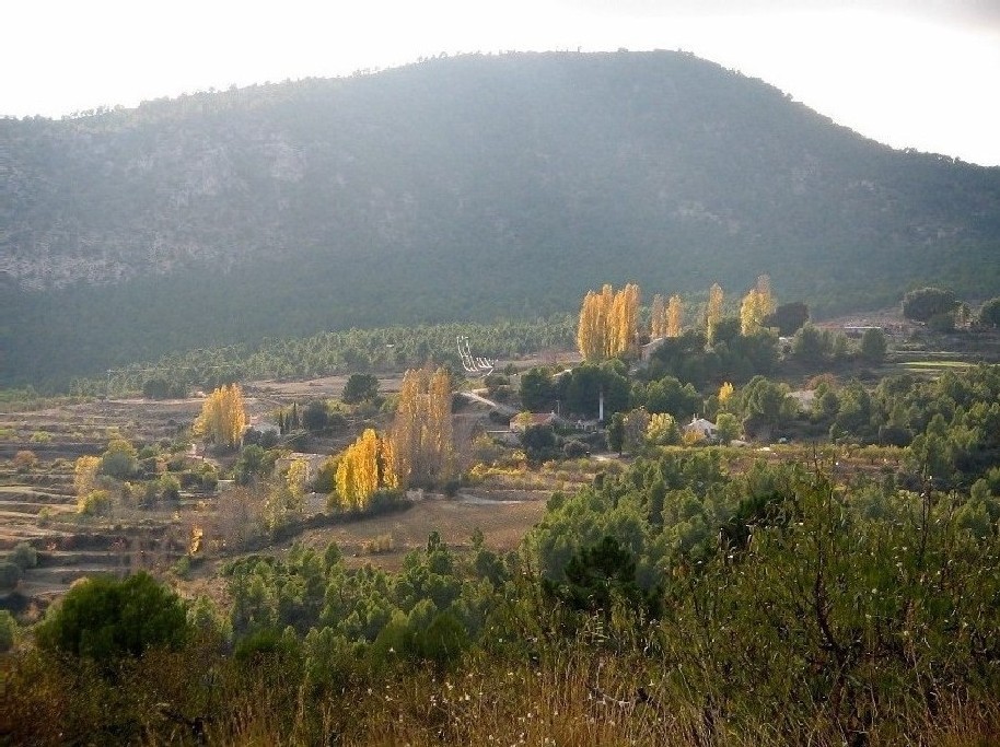 Murcia solicita obtener ayudas para devolver de manera inmediata su valor ecológico a Sierra de Moratalla