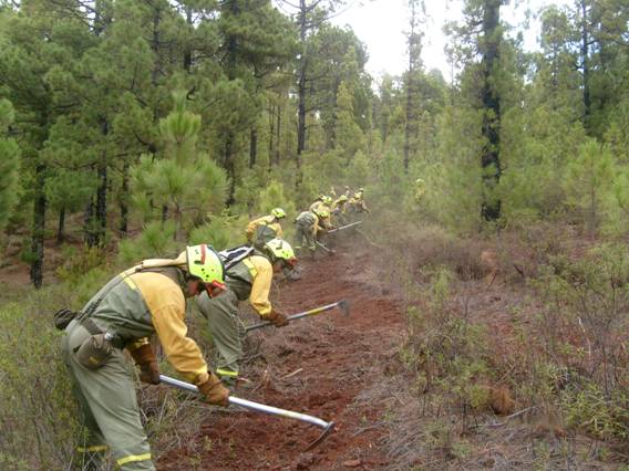 Exigen a Castilla y León más medios en la prevención de incendios forestales