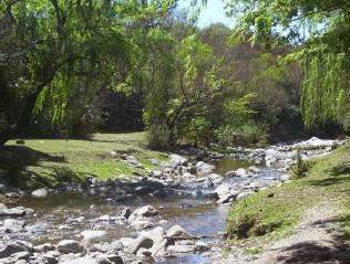 Experto en Gestión de Recursos Forestales