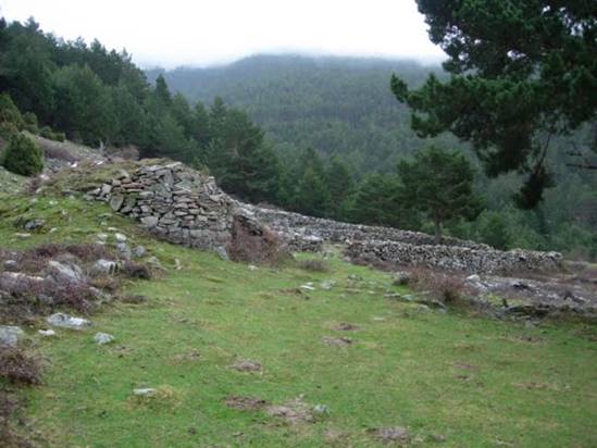 Se construirá un redil en Brieva