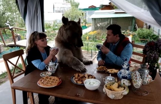 Un oso muy ‘familiar’ (Ver VIDEO)