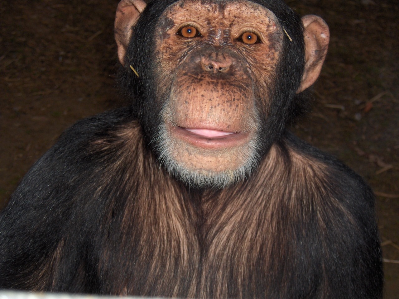 Medio Ambiente somete a información pública la normativa que regulará los parques zoológicos de Canarias