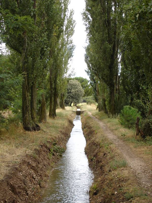 Regeneración del Patrimonio Fluvial de Laguna de Duero (Valladolid)