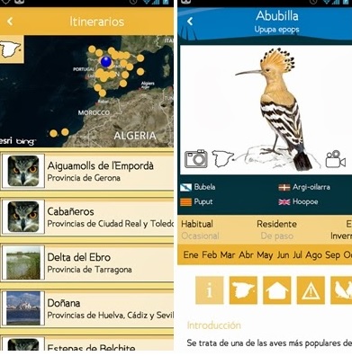 La aplicación `Aves de España´ in gran idea para disfrutar estos días de la naturaleza