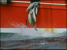 España no quiere vetar los descartes y complica el acuerdo sobre reforma pesquera