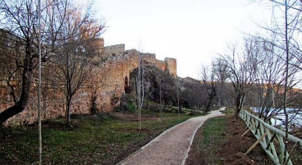 La restauración de la muralla de Soria y la conservación de la fauna
