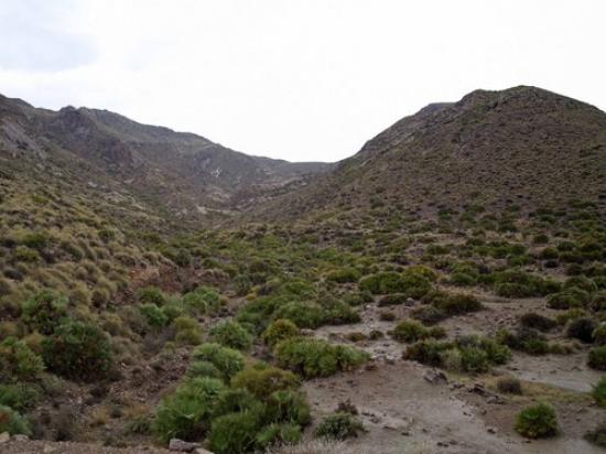 Detenido por usar lazos de acero como método de caza en el Parque Natural de Cabo de Gata