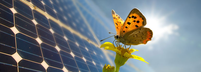 La titularización de los ingresos fotovoltaicos