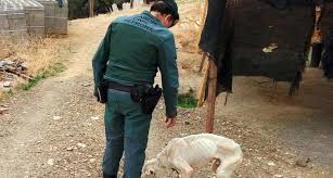 La Benemérita ha investigado a una persona de Arnedo por un presunto delito de maltrato animal