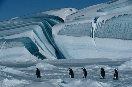 El cambio climático cambiará los ecosistemas polares