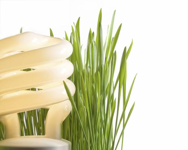 Entra el mundo laboral de la mano de la Eficiencia Energética