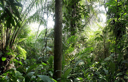 Europa fomenta un comercio que socava los derechos humanos