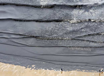 Ecologistas catalanes