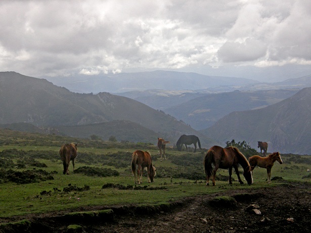 Asturias. El PSOE tiene prisa por dar permiso a los proyectos mineros de oro del Occidente